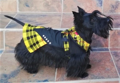 kilted harness