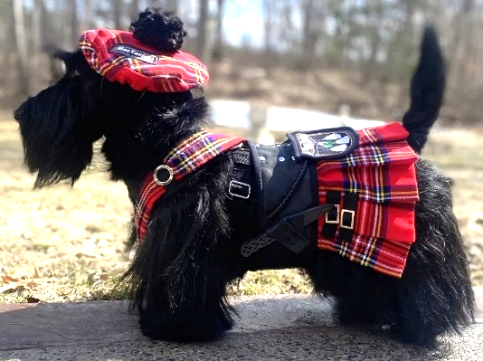 scotish